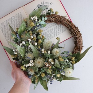 【 １点もの 約直径30cm 】フィリカとホップ ナンキンハゼの グリーンリース ハーフムーン ＊ フラワーリース ドライフラワー シンプル グリーン おしゃれ 北欧インテリア 開店祝い 誕生日 ギフト ナチュラル かわいい ボタニカル おしゃれ 枝もの