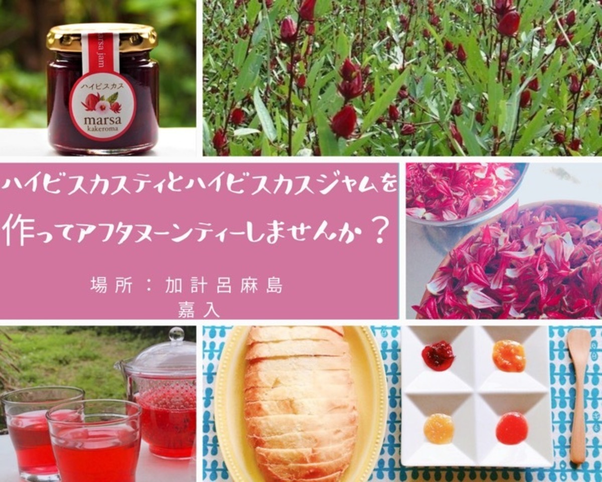 ハイビスカスでアフターヌーンティー かけろまの森marsa 無農薬のトロピカルフルーツを無添加ジャムにしてお届け