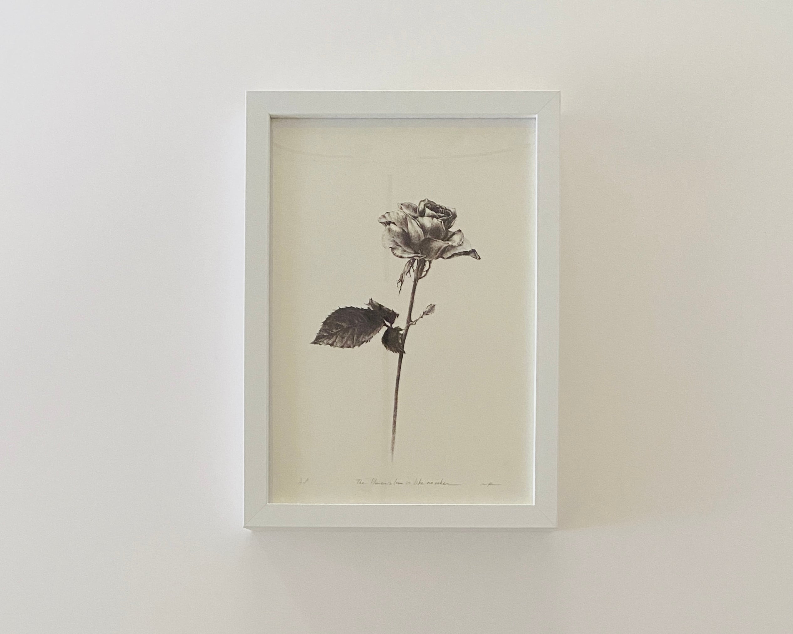 《ノエルの贈り物》木村まどか "flower's love is like no other" Kimura Madoka/lithograph/ sheet