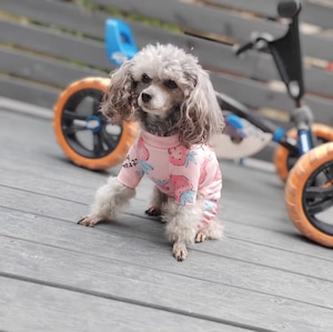 ドッグ 犬 小型犬 服カテゴリ ドッグウェア 室内着 オールインワン カラフル クマ ストロベリー かわいい シンプル カジュアル おしゃれ レトロ ラフ 個性的 主役級 存在感 ラブリー キュート くま柄 春 夏 男の子 女の子 成犬 スクール デート お出かけ パーティー イベント レストラン 公園 休日 バカンス カフェ 朝 散歩 ウォーキング 室内 普段使い トレンド 流行 インスタ映え 定番 S M L XL 2XL 白 ホワイト 茶色 ブラウン ピンク