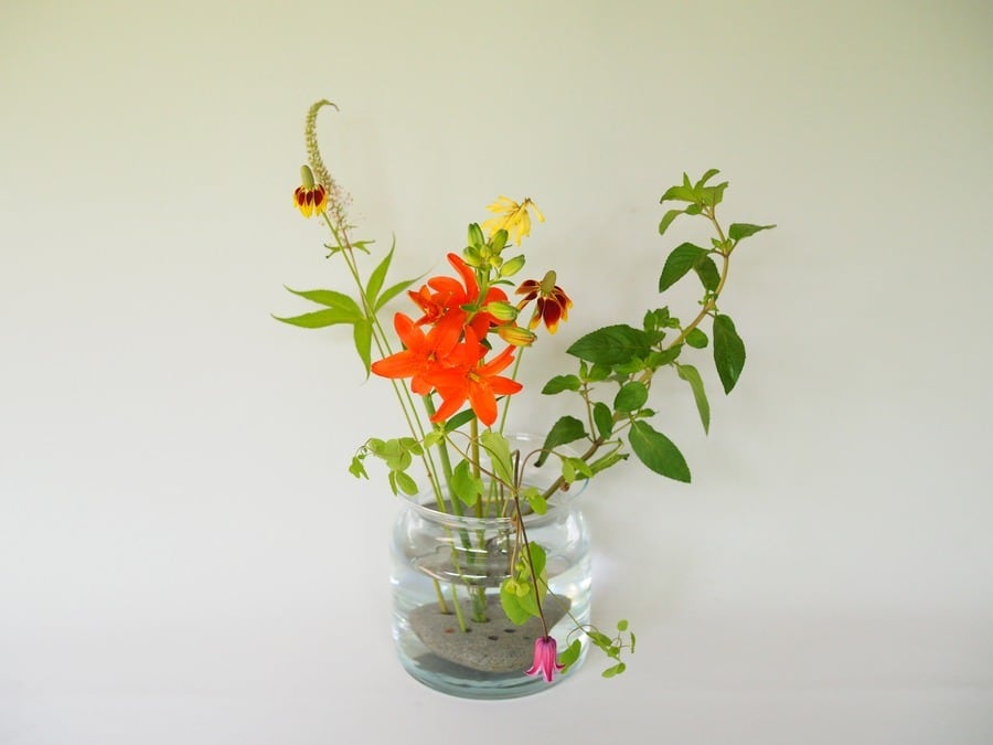 FROG STONE(石の剣山) | 花屋ぼたん