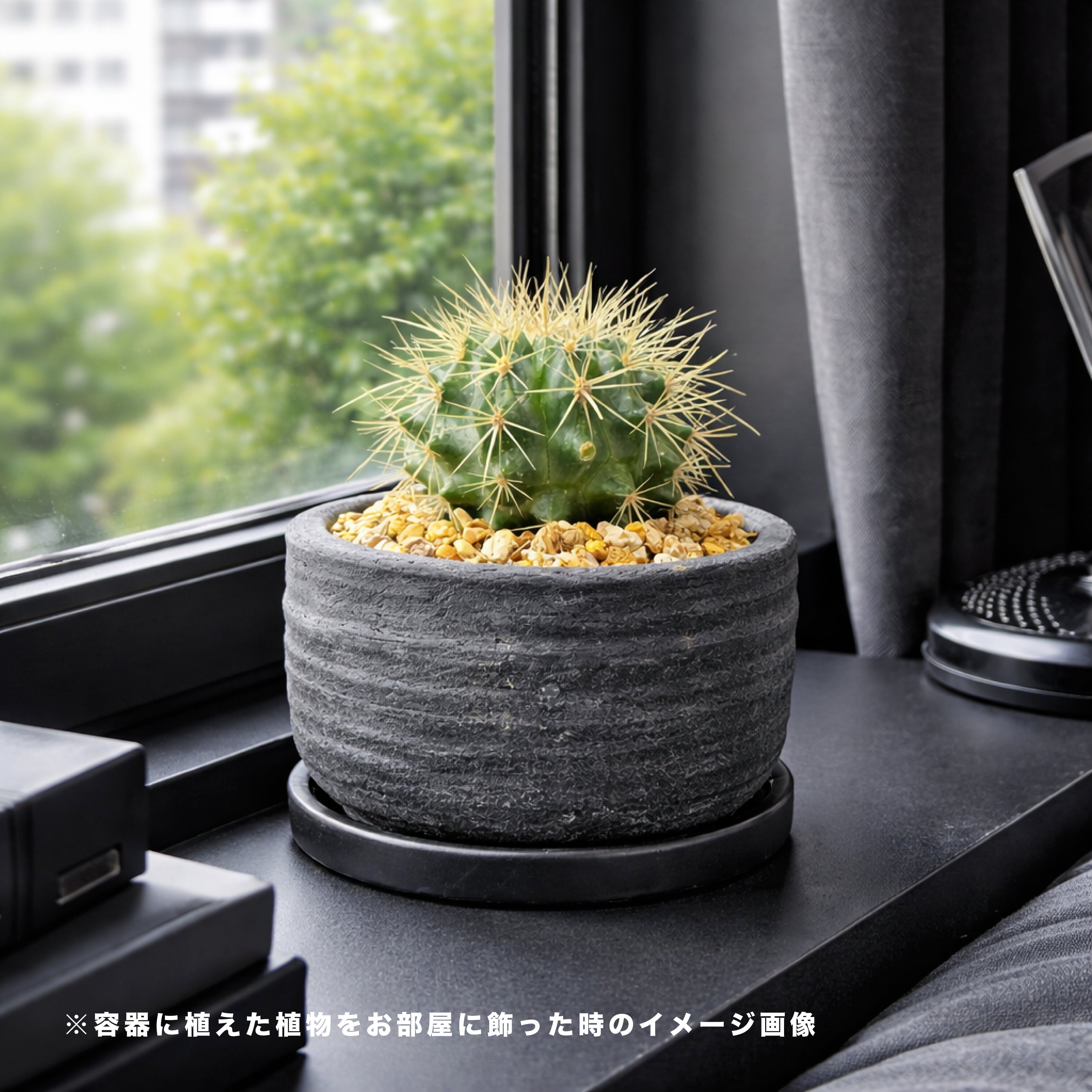 臨場感あふれるお洒落な黒陶器鉢（受け皿付き） | インテリアグリーン