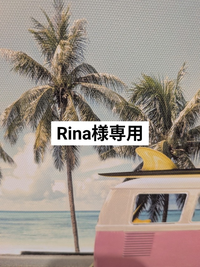 Rina様専用　サーフボード