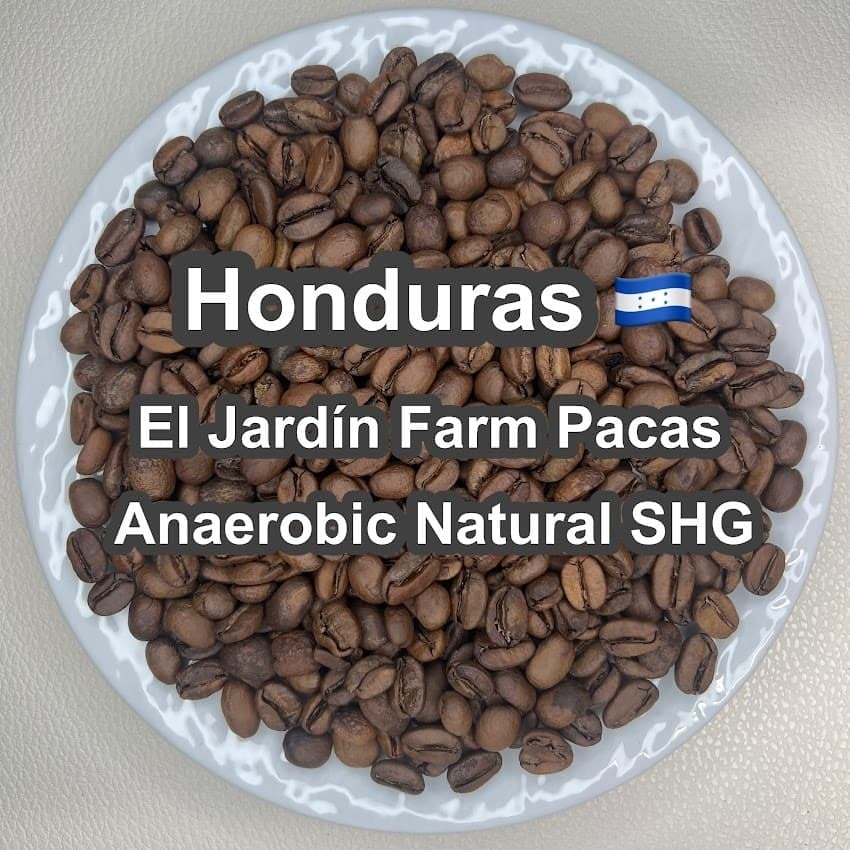 Brazil Geisha Farroupilha Farm Natural（ ブラジル ゲイシャ