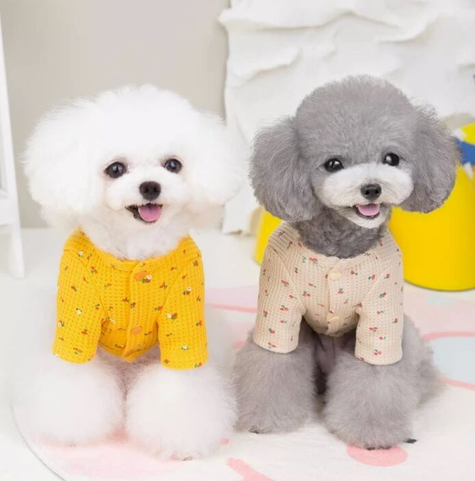 ドッグ 犬 小型犬 シャツ セーター 細身 ストレート スマート 袖付き 半袖 カラフル お花 スナップボタン かわいい きれいめ シンプル 上品 おしゃれ レトロ 個性的 モダン かっちり ヴィンテージ ラブリー キュート 都会的 クラシカル カレッジ風 ベーシック アメリカン プレッピー シンプル フレンチ 花柄 フラワー 春 秋 冬 ロングシーズン 春服 秋服 冬服 男の子 女の子 成犬 デート お出かけ リゾート 公園 休日 カフェ ウォーキング 室内 おうち 普段使い 定番 S M L XL 2