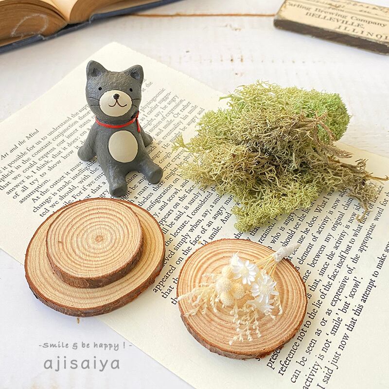 お家でほっこりガーデンシリーズ 【 くつろぎ猫 】 動物フィギュアと 