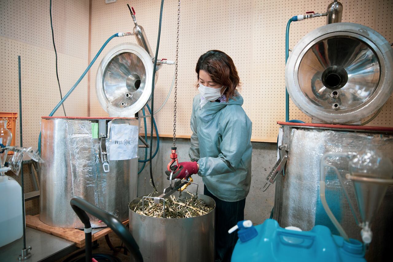 タテヤマスギの精油（5ml） ｜ アロマセレクト | 水と匠 公式通販