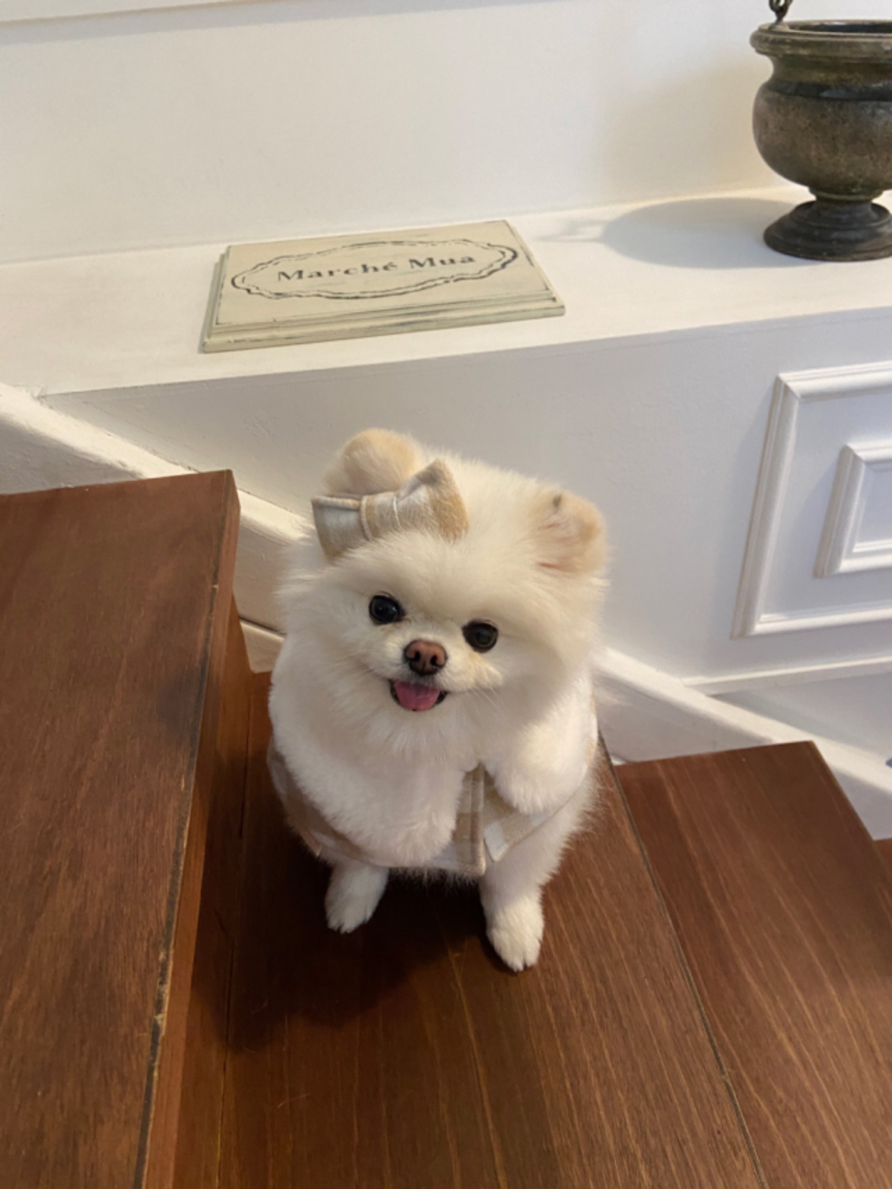 即納【Hi Yeboo】Classic Check Cape (beige)