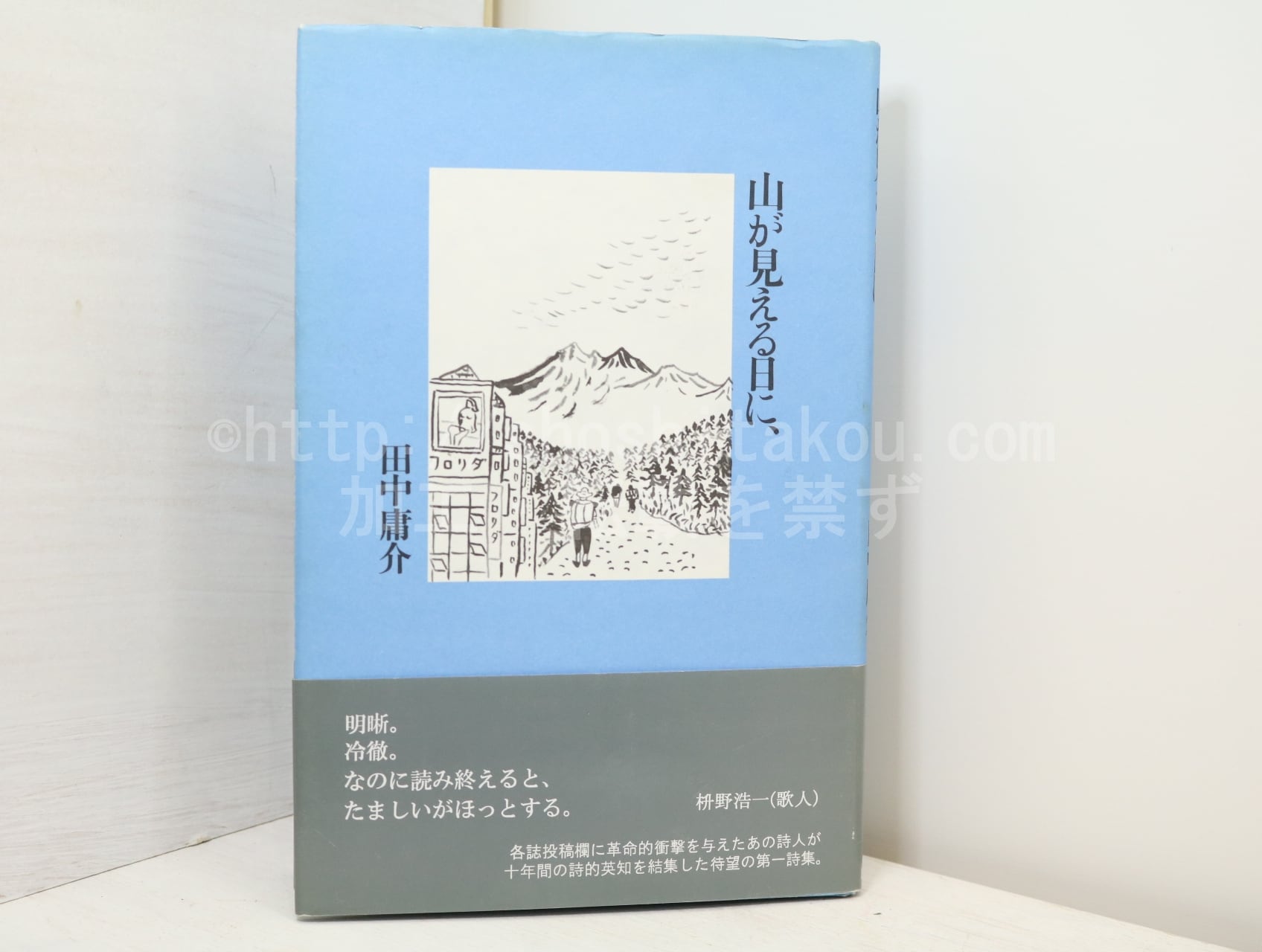 山が見える日に、　/　田中庸介　　[32711]