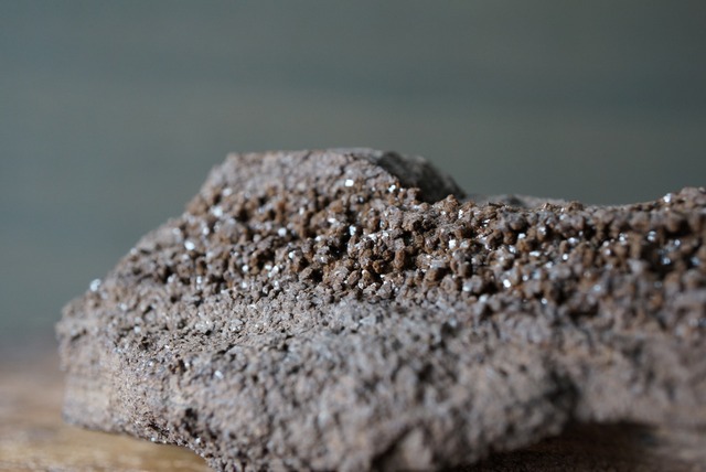 特大ドイツ産ドゥルージーペトリファイドウッド 242mm　Petrified Wood / Quartz　1173