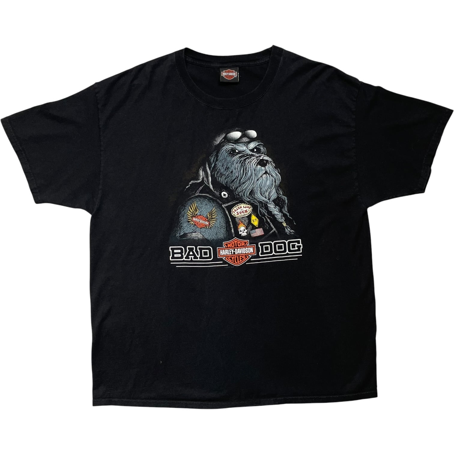 《XL》Harley-Davidson ハーレーダビッドソン Tシャツ フロントプリント バックプリント ブラック no.10096