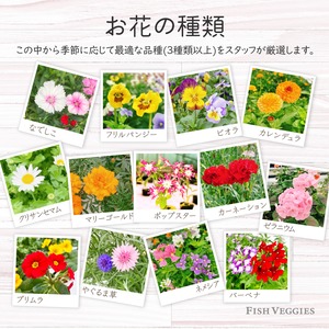 【詰め合わせ】エディブルフラワー　30輪程度　化学肥料/化学農薬不使用の安心して食べられるお花