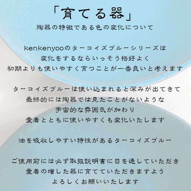 ターコイズブルーボウル　 / レンジ・食洗機可 / wb-13 和食器 煮物 大鉢 鉢 ボウル おしゃれ  モダン 広め 麺鉢 ラーメン鉢 スープボウル サラダボウル 青 ターコイズ ブルー 直径約24cm 育てる器 食器 陶器 器 引越し祝い 結婚祝い パーティー