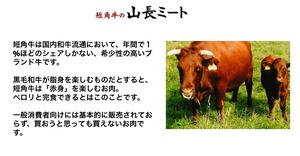 【希少】短角牛ローストビーフ 300g