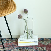 【neulo】glass vase