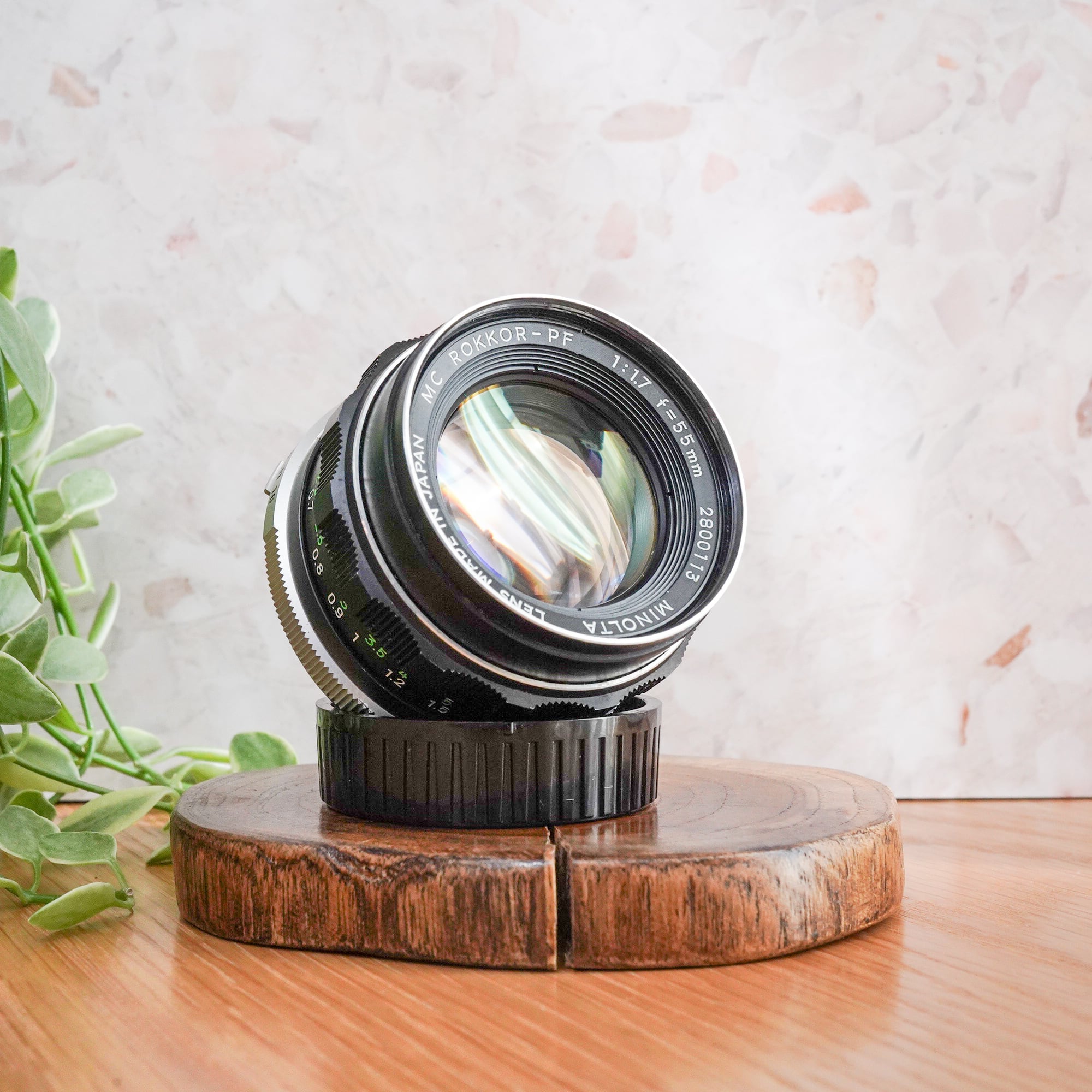 オールドレンズの始祖 オールドレンズフェス2025 : coolys creek 