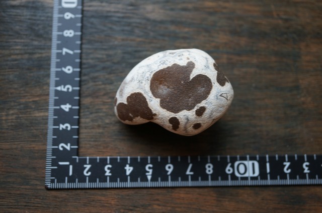 ババグーリ・アゲート Babaghuri Agate 2228