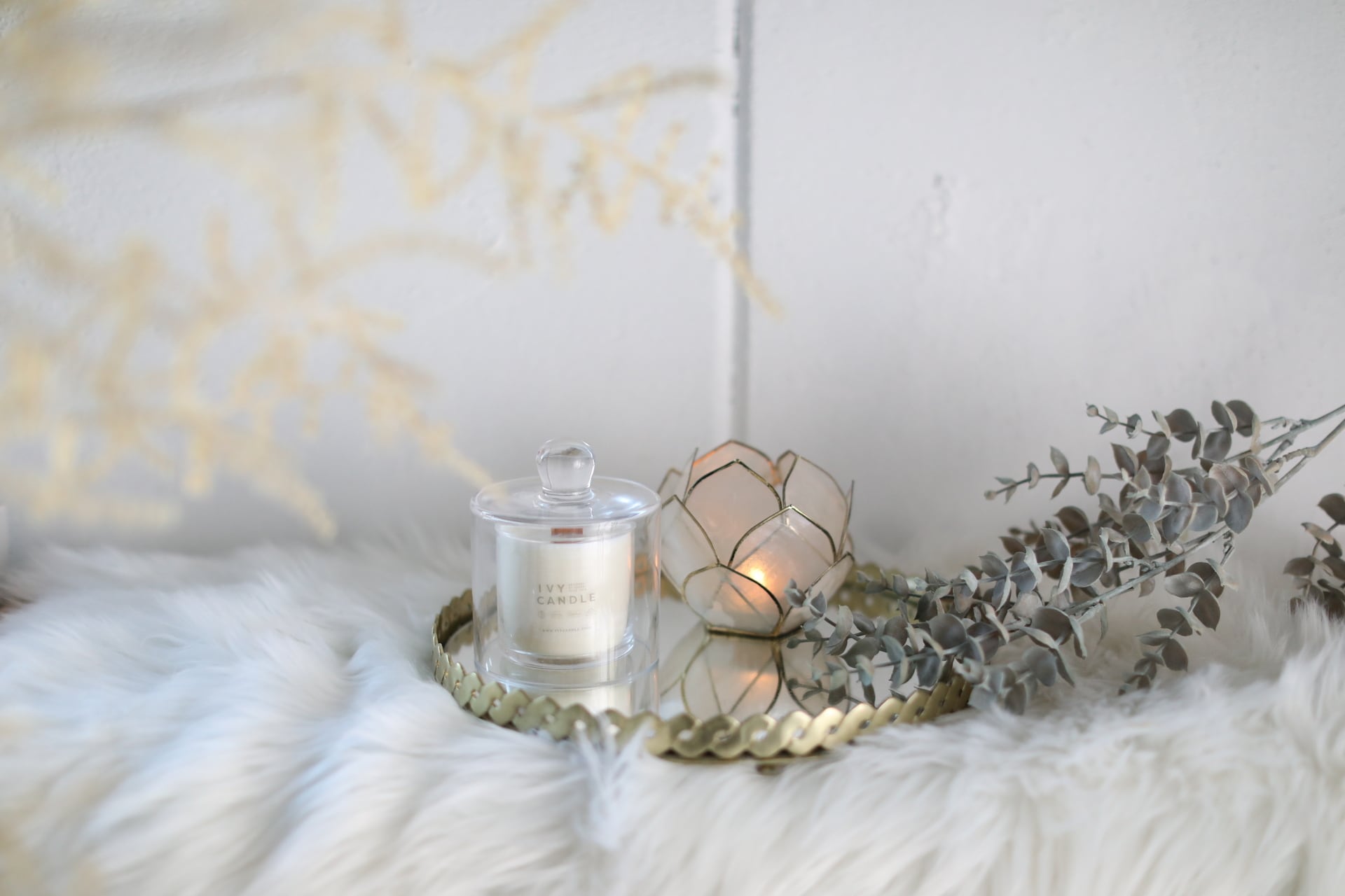 ソイキャンドル glass M【GIFT BOX付】 | ivycandle