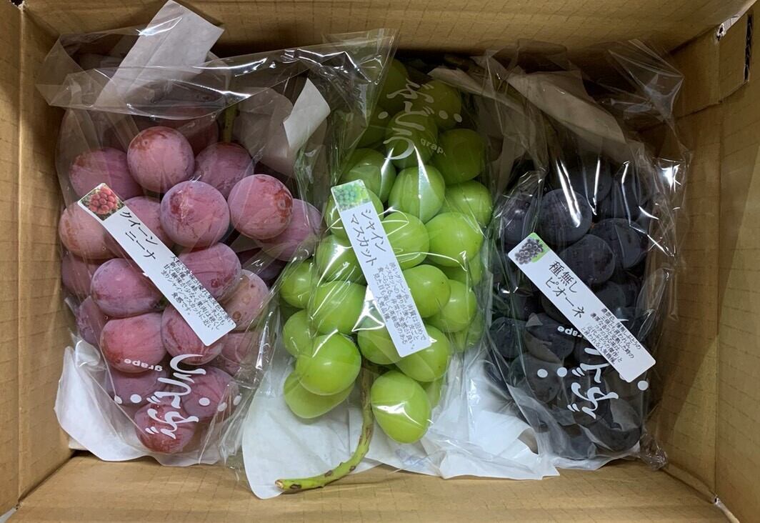 8kg前後（4kg2箱） 色々な種類をお任せ詰合せ（12〜16房） | 勝沼
