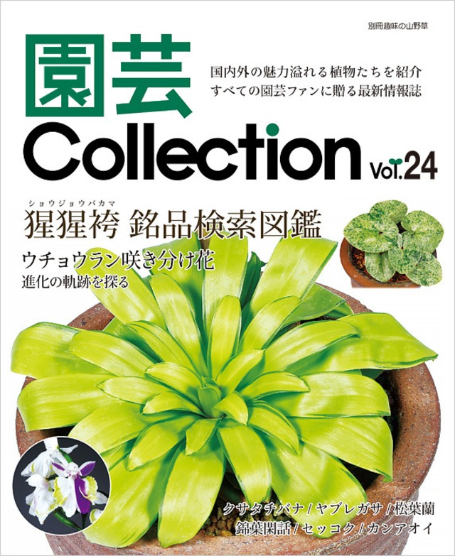 園芸collection Vol 24 栃の葉書房