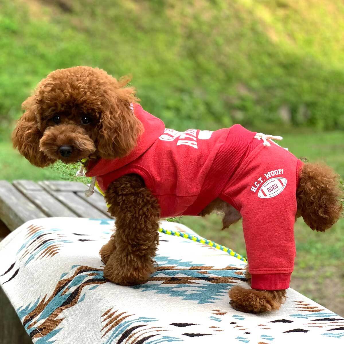 犬服☆ペイズリー&チェックのパッチワークをデニムでパイピングした