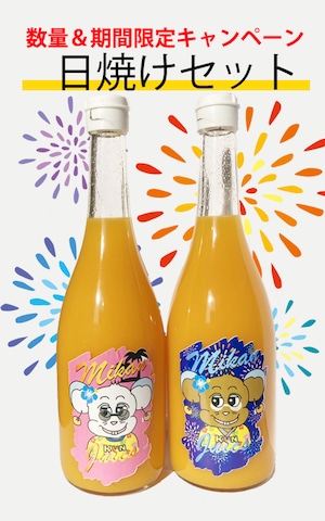 【限定20箱】日焼けセット