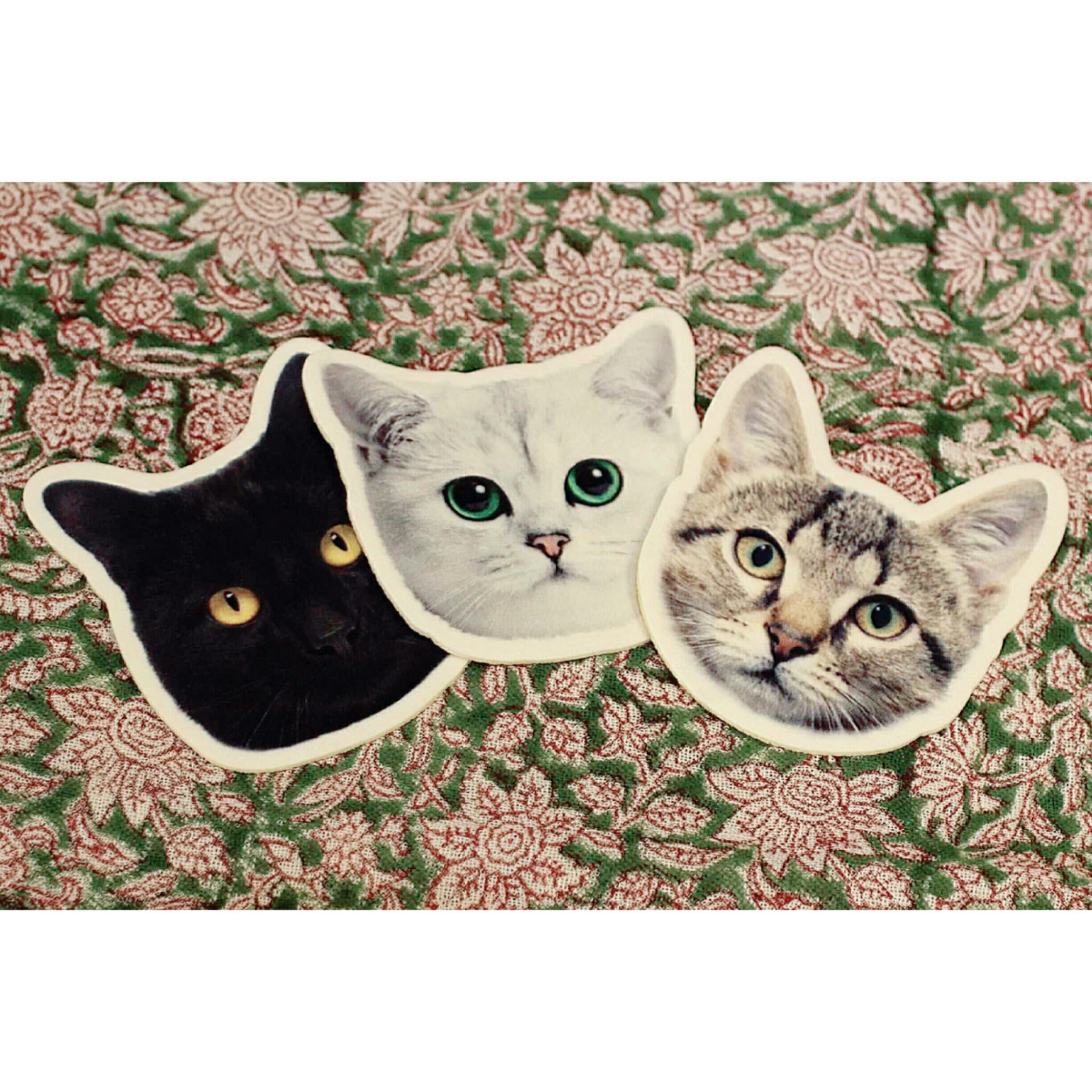 リアルネココースター/猫顔コースター/フェルトワッペン/フェルト