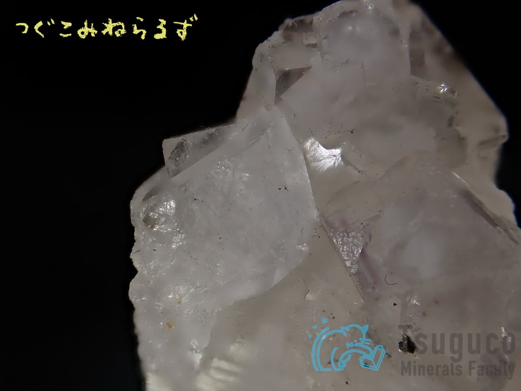フローライト・オン・クォーツ 蛍石 Fluorite 中国 TM-0052