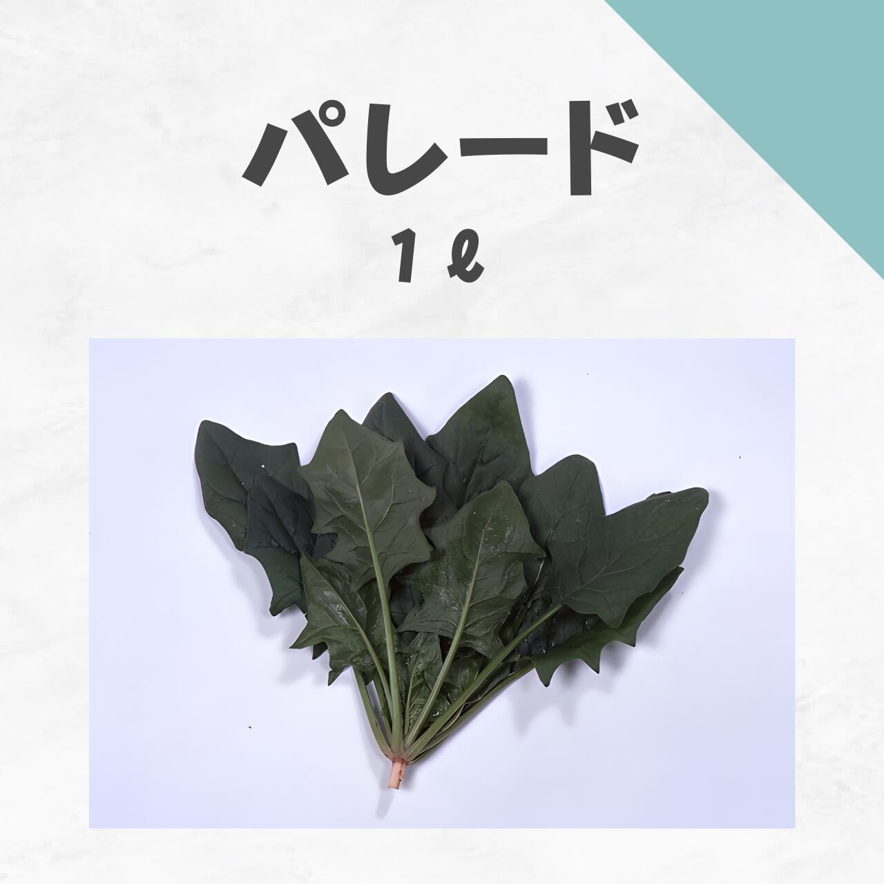 パレード ホウレンソウ種子・1L