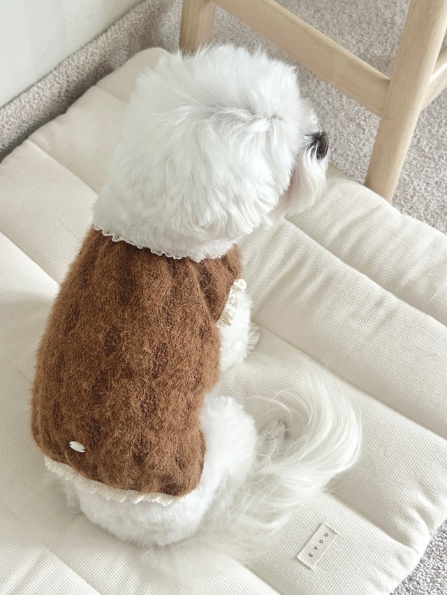 〈予約アイテム〉EYOU / daily bag