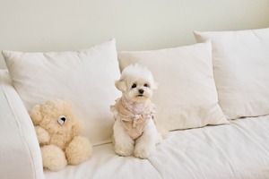 即納 【hapoohe】  Snow Bell Pancho (brown)