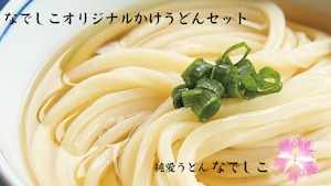 かけうどん (うどんと出し汁のセット) お試し3食セット　※国産小麦100%のなでしこオリジナル冷凍麺と冷凍鯛出し汁