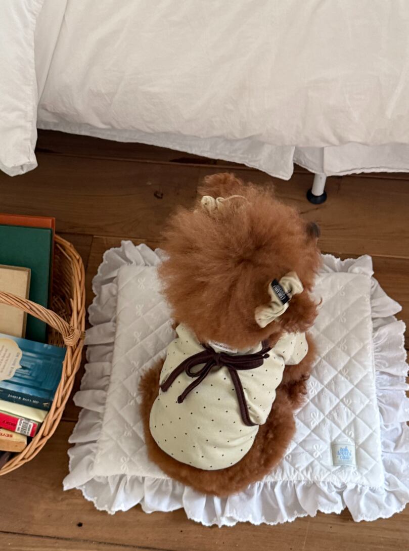 Sleeveless+Bolero/予約【tak!tak!tak!tak!】Olive (Mocha dot cardigan set)