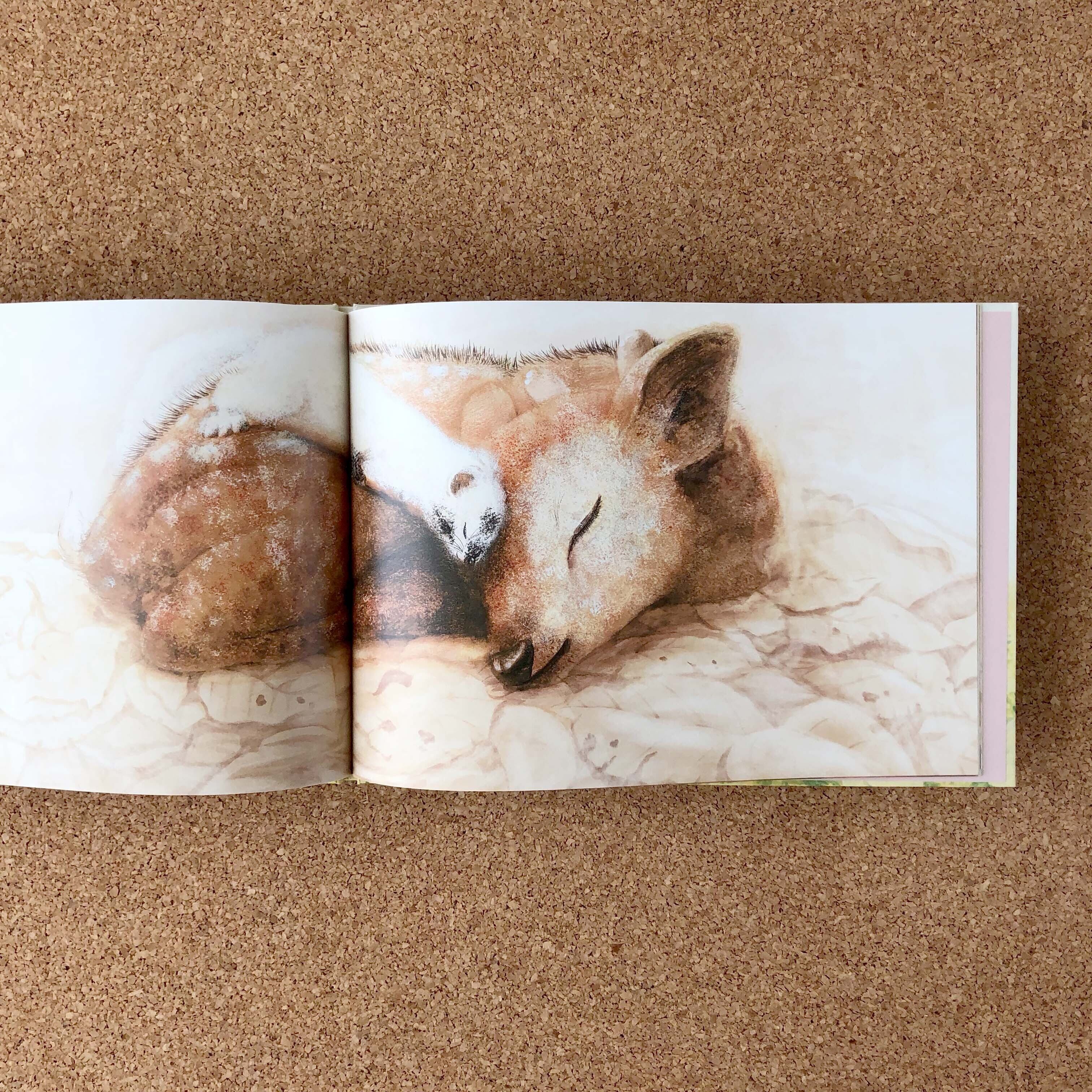 絵本『てんからのおくりもの』文部科学大臣賞 受賞作品 | ぼくぱぐ工房