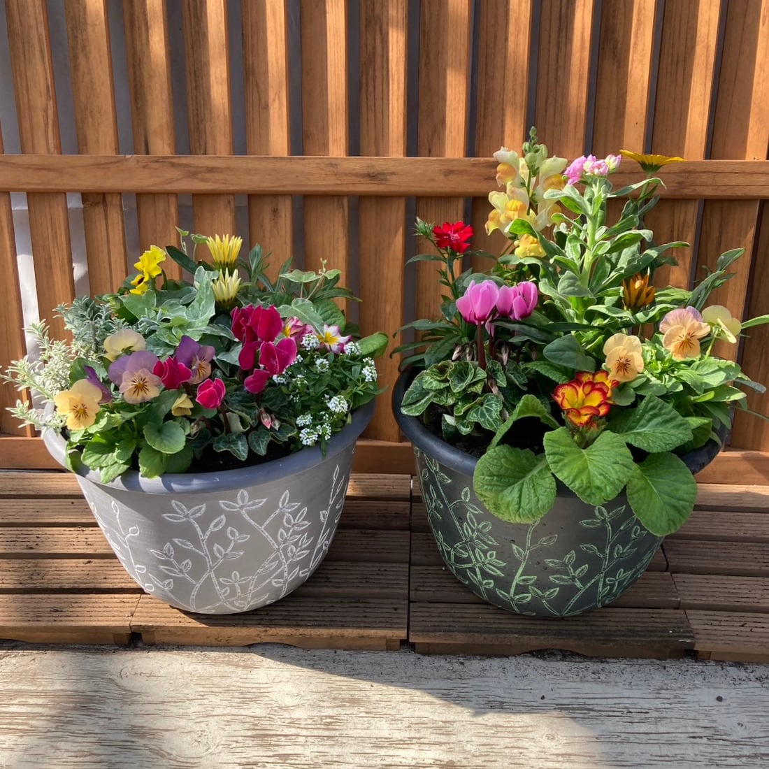 季節の寄せ植え リーフ柄 軽量プラスチック鉢 内径24cm 2鉢セット （鉢