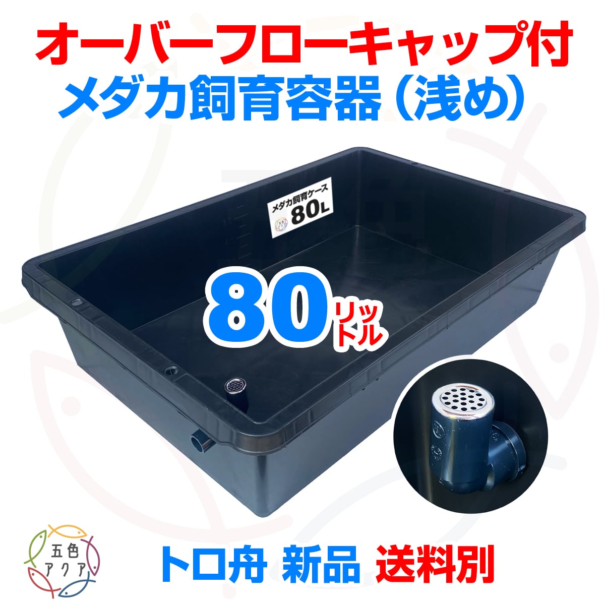 五色アクア BASE店