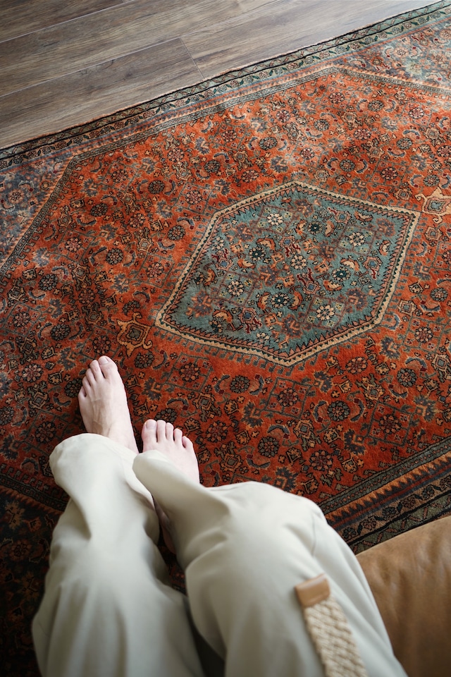 【584】Vintage Persian Bijdar rug 1960's