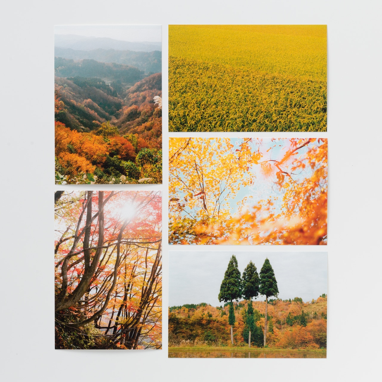 石川直樹 ポストカードセット〈秋〉/ Naoki Ishikawa Post Card Set (Autumn)