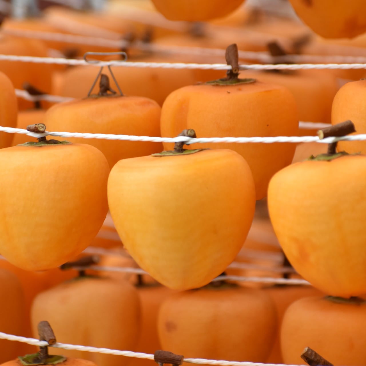 送料半額】祇園坊干し柿〈2Lサイズ12個入〉｜ザ・広島ブランド | あき