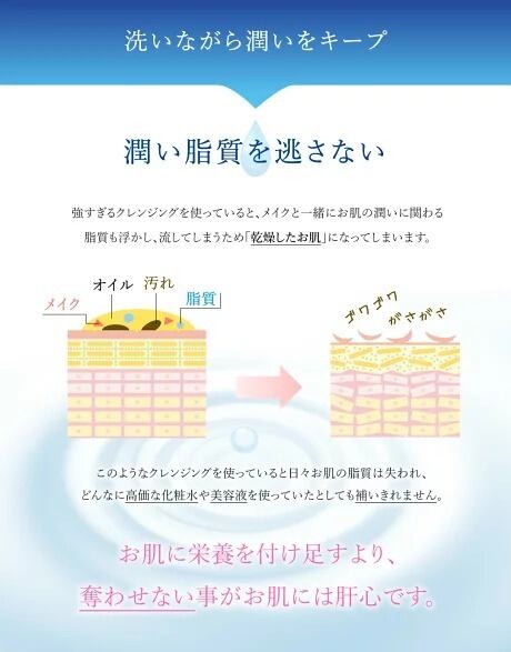 アロエベラ 化粧品 クレンジングフォーム クレンジングローション 化粧