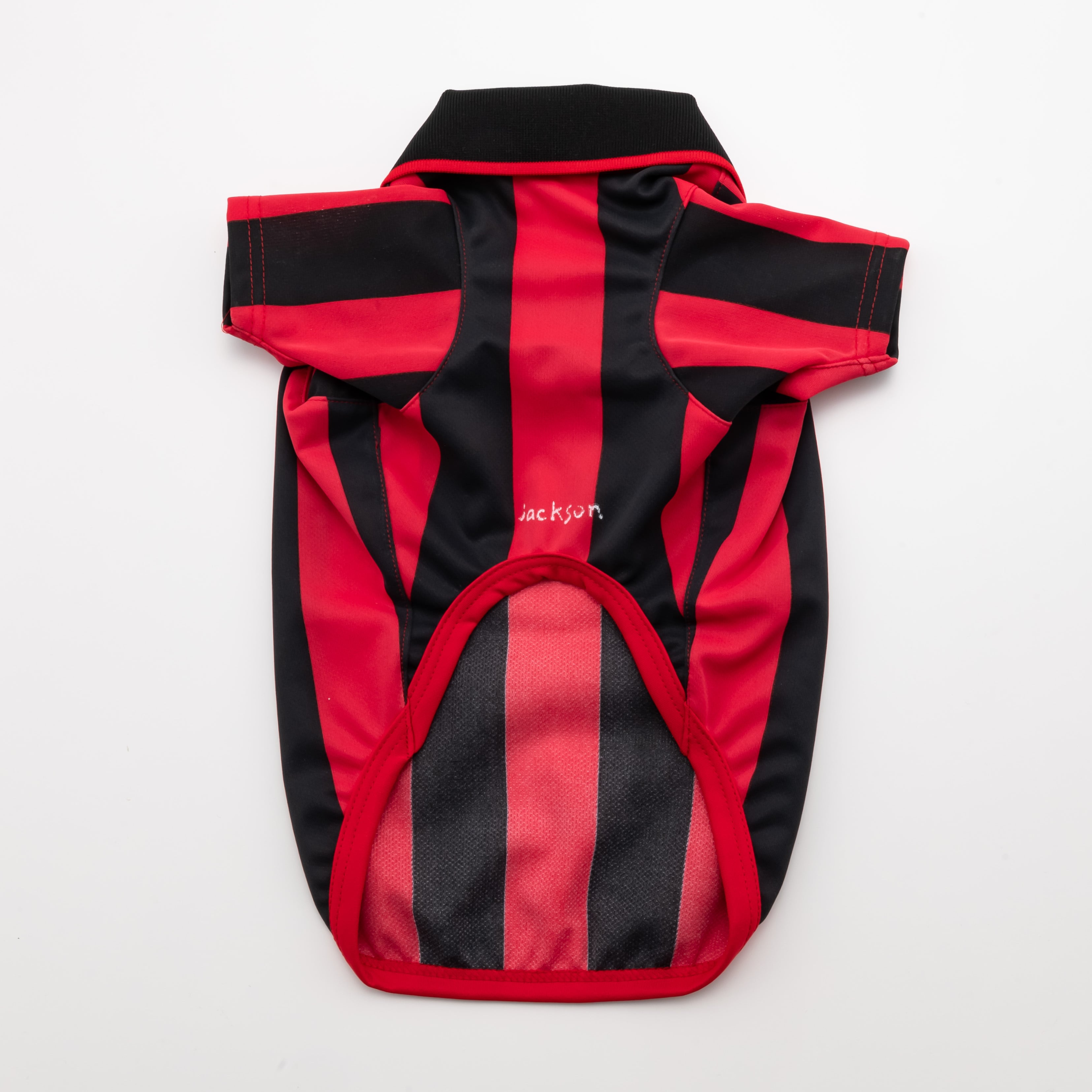 GAME Shirts | JACKSON MATISSE PETS