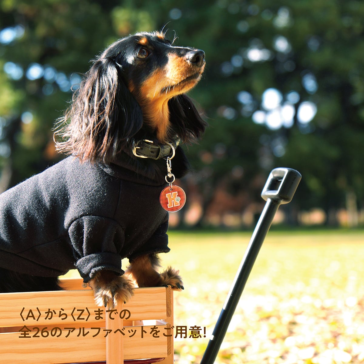 イニシャルチャーム（約3㎝） | ひまわんギャラリー | 〈オーダー