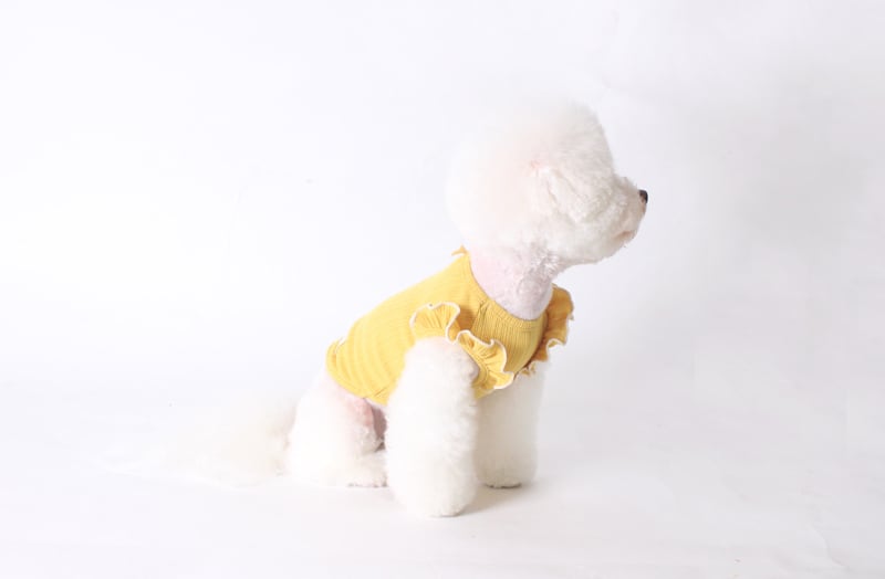 【SALE】  spring frill top S ~ XL 3color / ワンコ服 犬服 新作 可愛い 犬の服 お出かけ ペット洋服 春夏 ドッグウェア