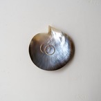 貝殻のプレート