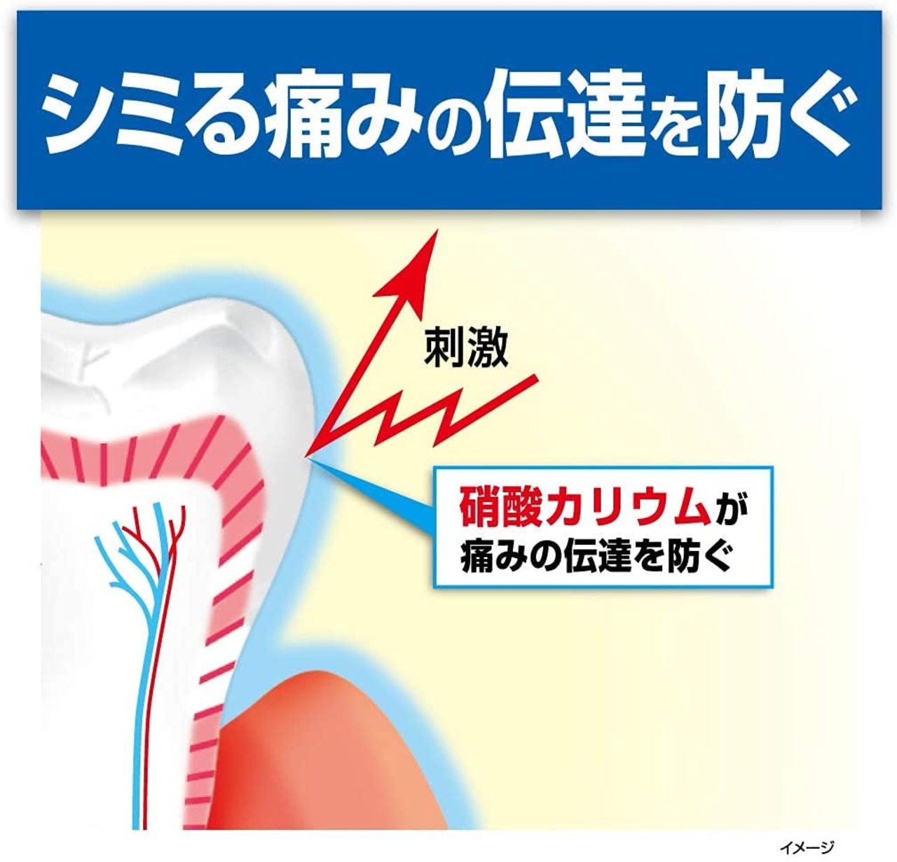 ハウメル 知覚過敏ケア 薬用ハミガキ 100g×2個 歯の穴を埋める 小林製薬 【医薬部外品】