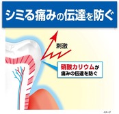 ハウメル 知覚過敏ケア 薬用ハミガキ 100g×2個 歯の穴を埋める 小林製薬 【医薬部外品】