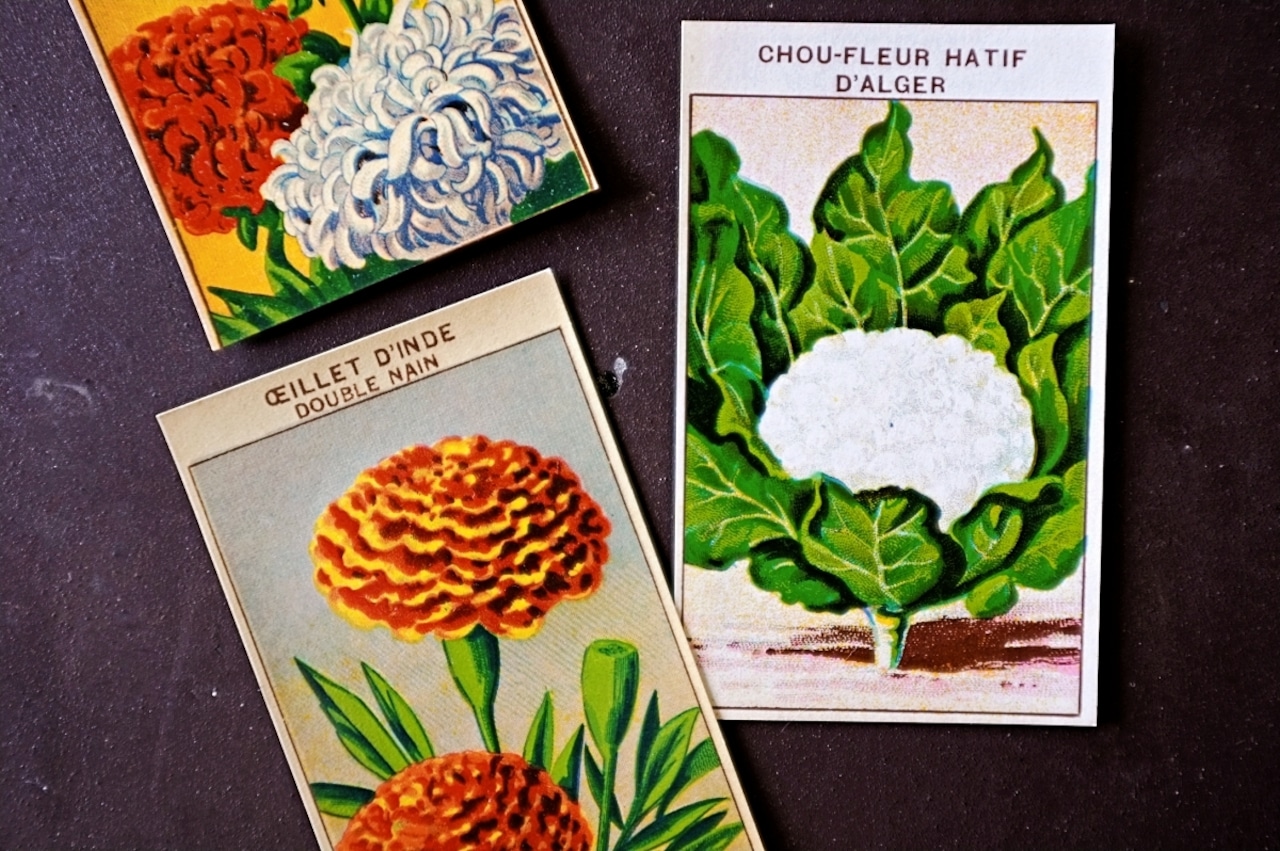 20s フランス 4set 膨満な花々と野菜たち 種子袋用ラベルb アンティーク