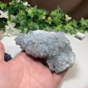 2.空色セレスタイトに住み着いているフローライトハリネズミさん