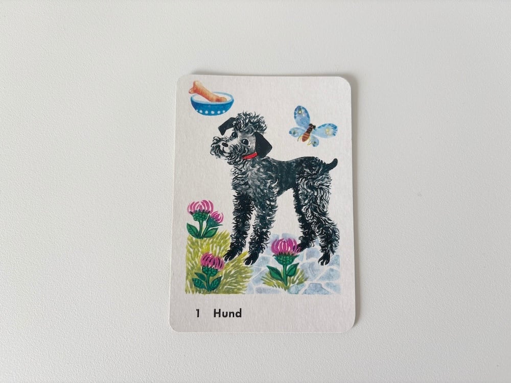 【旧東ドイツ】蝶々み見つけられた犬のカード