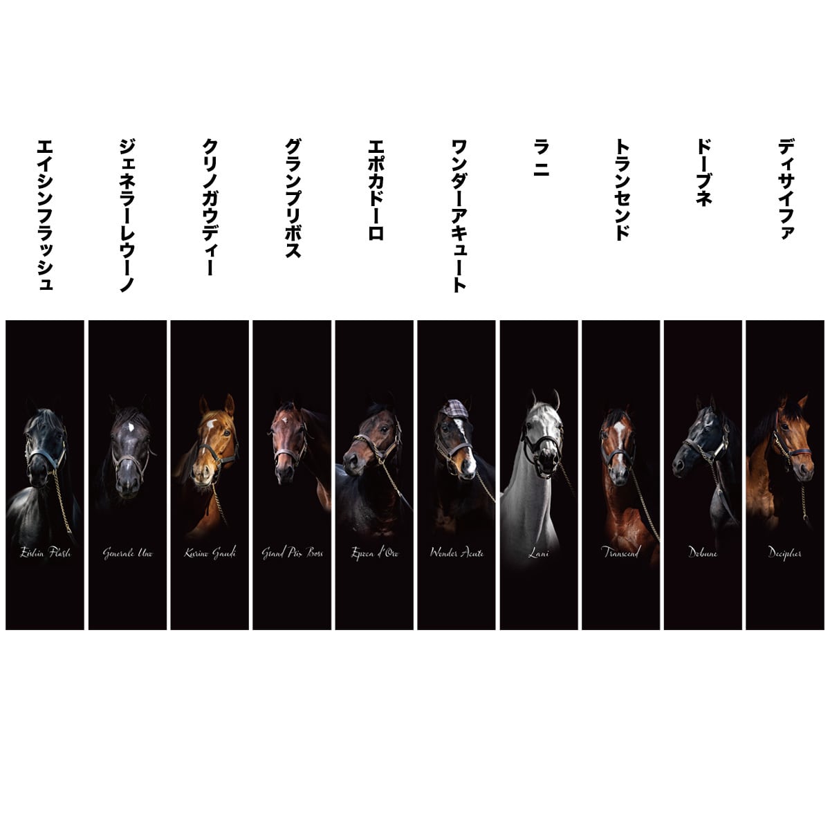 タペストリー | ヴェルサイユリゾートファームショップ